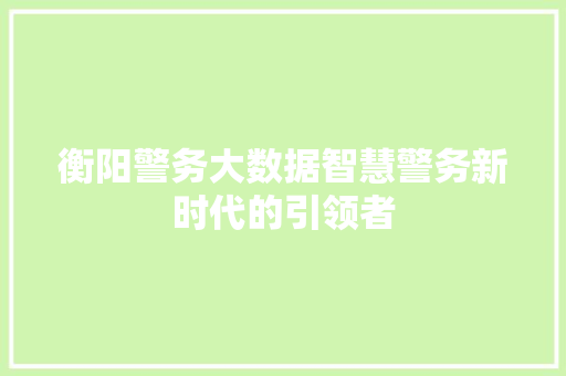 衡阳警务大数据智慧警务新时代的引领者