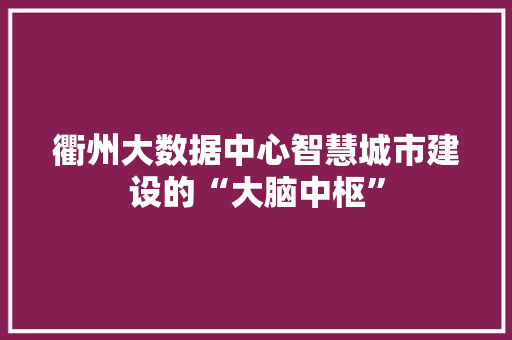 衢州大数据中心智慧城市建设的“大脑中枢”