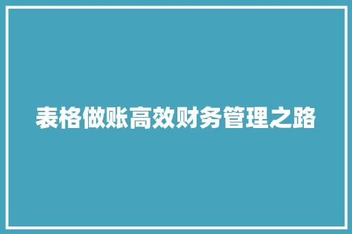 表格做账高效财务管理之路