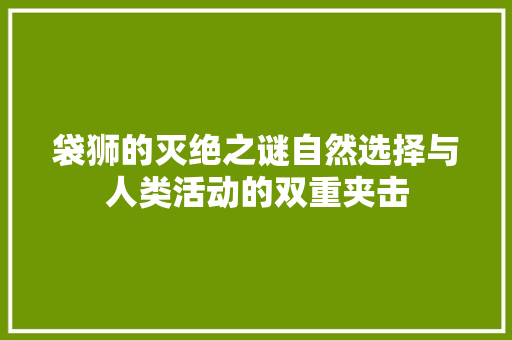袋狮的灭绝之谜自然选择与人类活动的双重夹击