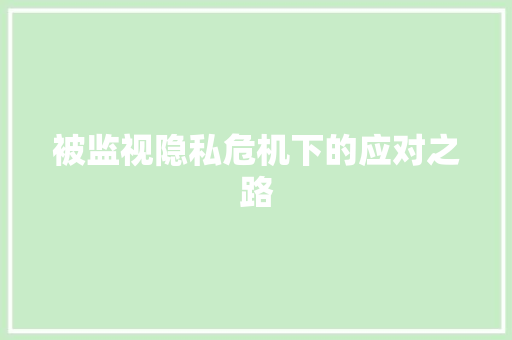 被监视隐私危机下的应对之路