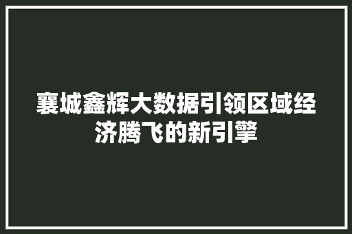 襄城鑫辉大数据引领区域经济腾飞的新引擎