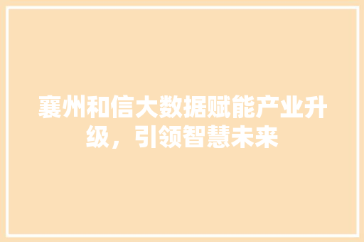 襄州和信大数据赋能产业升级，引领智慧未来
