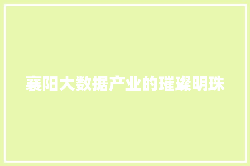 襄阳大数据产业的璀璨明珠
