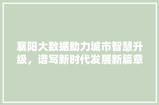 襄阳大数据助力城市智慧升级，谱写新时代发展新篇章