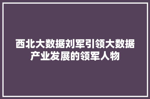 西北大数据刘军引领大数据产业发展的领军人物