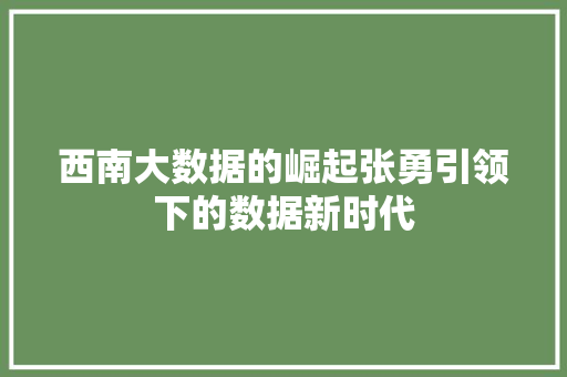 西南大数据的崛起张勇引领下的数据新时代