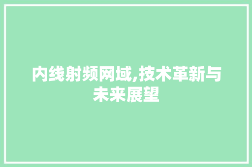 内线射频网域,技术革新与未来展望