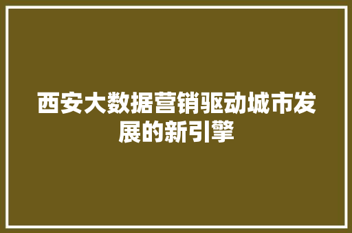西安大数据营销驱动城市发展的新引擎