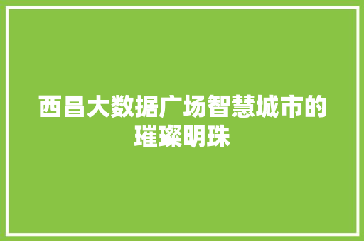 西昌大数据广场智慧城市的璀璨明珠