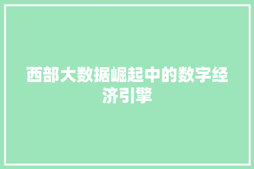 西部大数据崛起中的数字经济引擎