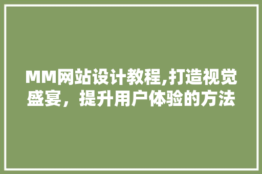 MM网站设计教程,打造视觉盛宴，提升用户体验的方法 项目报告