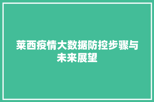 莱西疫情大数据防控步骤与未来展望