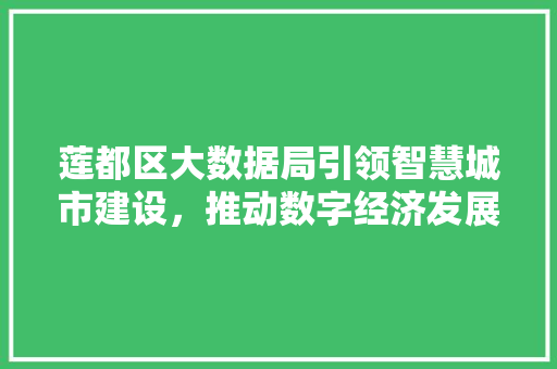 莲都区大数据局引领智慧城市建设，推动数字经济发展