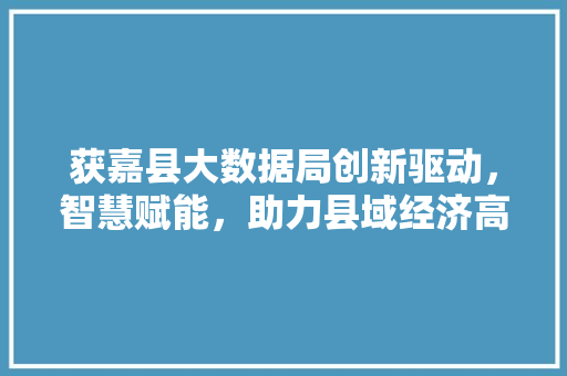 获嘉县大数据局创新驱动，智慧赋能，助力县域经济高质量发展