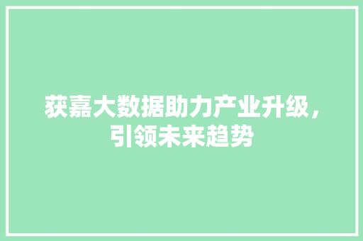 获嘉大数据助力产业升级，引领未来趋势