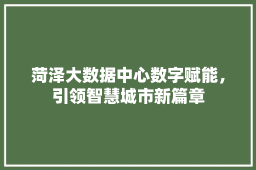 菏泽大数据中心数字赋能，引领智慧城市新篇章