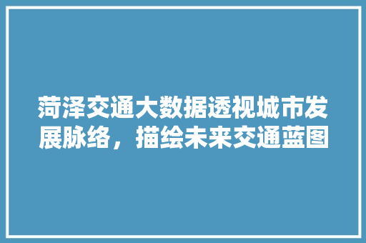 菏泽交通大数据透视城市发展脉络，描绘未来交通蓝图