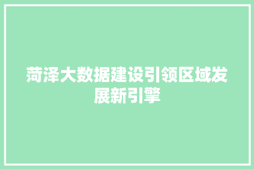 菏泽大数据建设引领区域发展新引擎