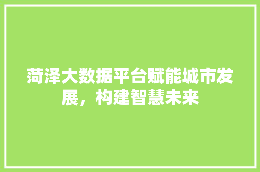 菏泽大数据平台赋能城市发展，构建智慧未来