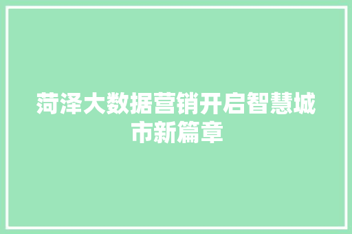 菏泽大数据营销开启智慧城市新篇章