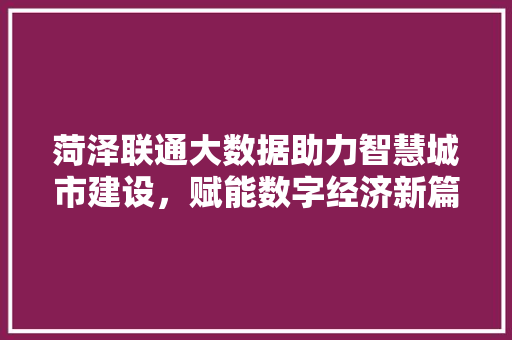 菏泽联通大数据助力智慧城市建设，赋能数字经济新篇章