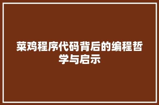 菜鸡程序代码背后的编程哲学与启示