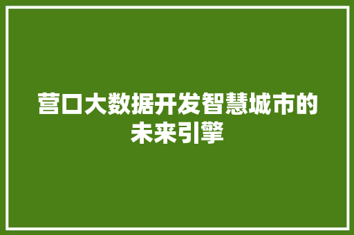 营口大数据开发智慧城市的未来引擎