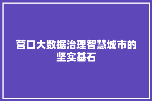 营口大数据治理智慧城市的坚实基石