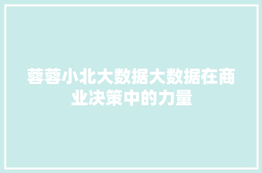 蓉蓉小北大数据大数据在商业决策中的力量