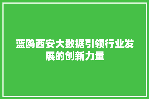 蓝鸥西安大数据引领行业发展的创新力量