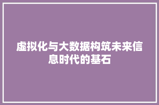 虚拟化与大数据构筑未来信息时代的基石