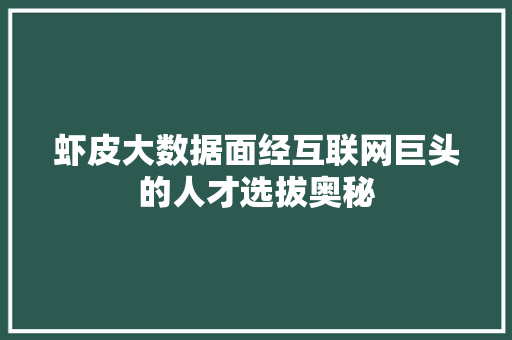 虾皮大数据面经互联网巨头的人才选拔奥秘