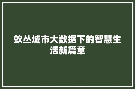 蚁丛城市大数据下的智慧生活新篇章