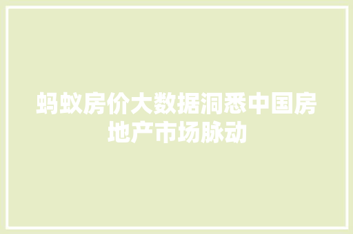 蚂蚁房价大数据洞悉中国房地产市场脉动