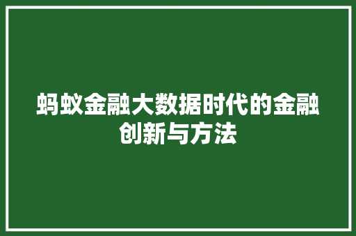 蚂蚁金融大数据时代的金融创新与方法