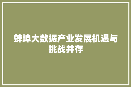 蚌埠大数据产业发展机遇与挑战并存