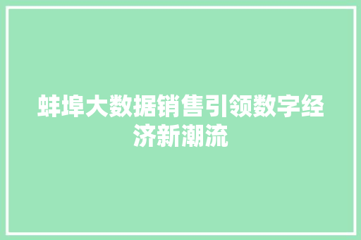 蚌埠大数据销售引领数字经济新潮流
