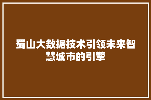蜀山大数据技术引领未来智慧城市的引擎