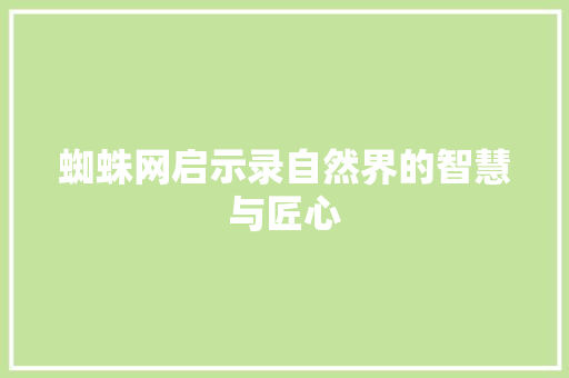 蜘蛛网启示录自然界的智慧与匠心