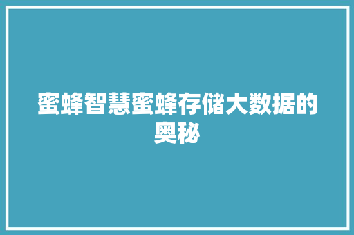 蜜蜂智慧蜜蜂存储大数据的奥秘