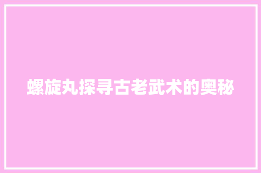 螺旋丸探寻古老武术的奥秘