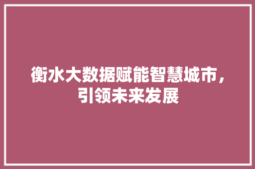 衡水大数据赋能智慧城市，引领未来发展
