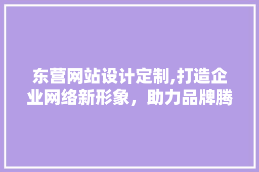 东营网站设计定制,打造企业网络新形象，助力品牌腾飞 前端技术
