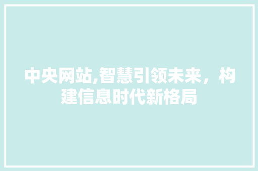 中央网站,智慧引领未来，构建信息时代新格局 缓存Redis