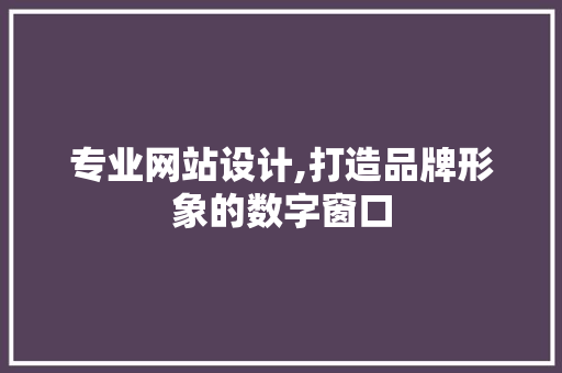专业网站设计,打造品牌形象的数字窗口 前端技术