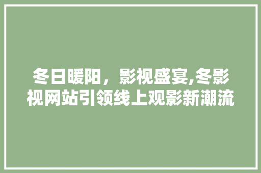 冬日暖阳，影视盛宴,冬影视网站引领线上观影新潮流 后端技术