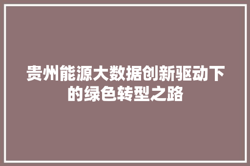 贵州能源大数据创新驱动下的绿色转型之路