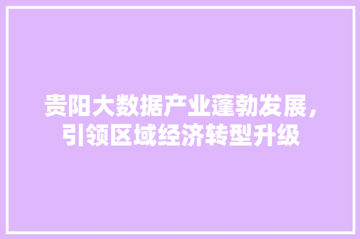贵阳大数据产业蓬勃发展，引领区域经济转型升级