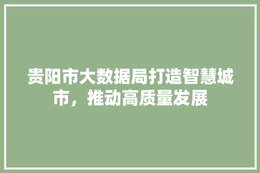 贵阳市大数据局打造智慧城市，推动高质量发展